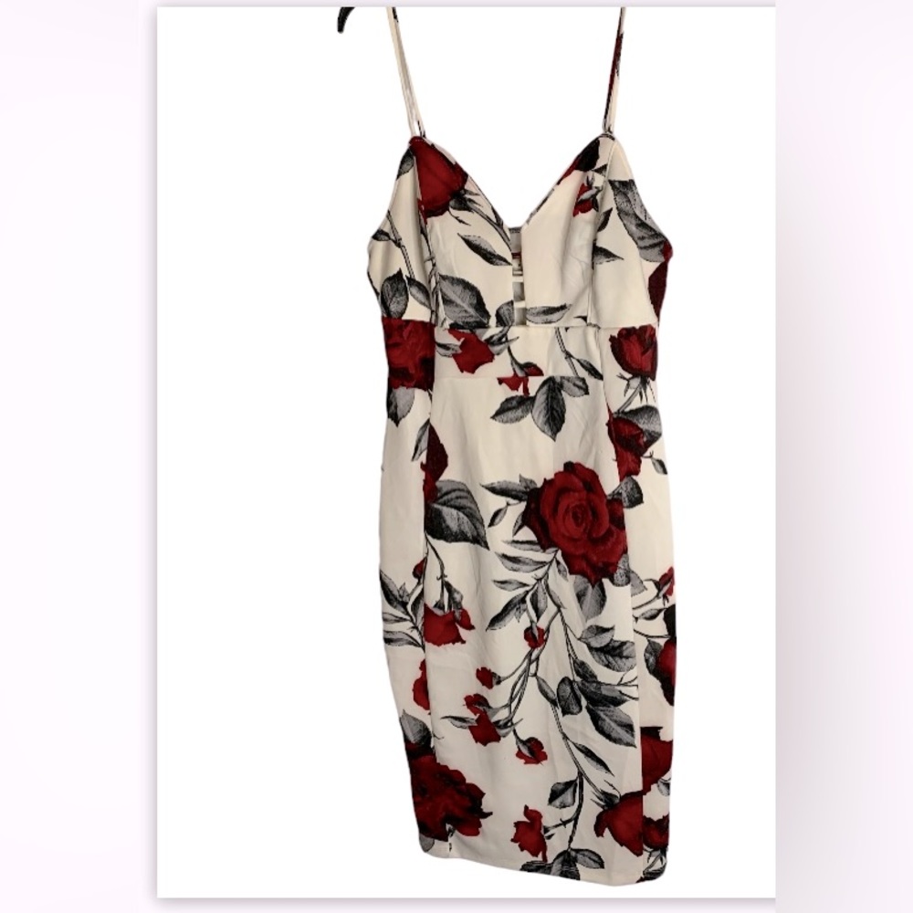 Rose dress